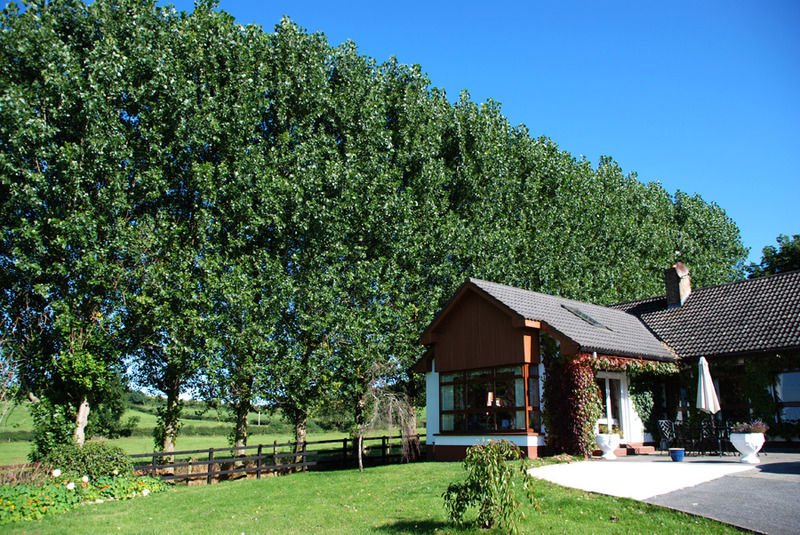 The Bungalow Farmhouse Clomantagh Екстер'єр фото